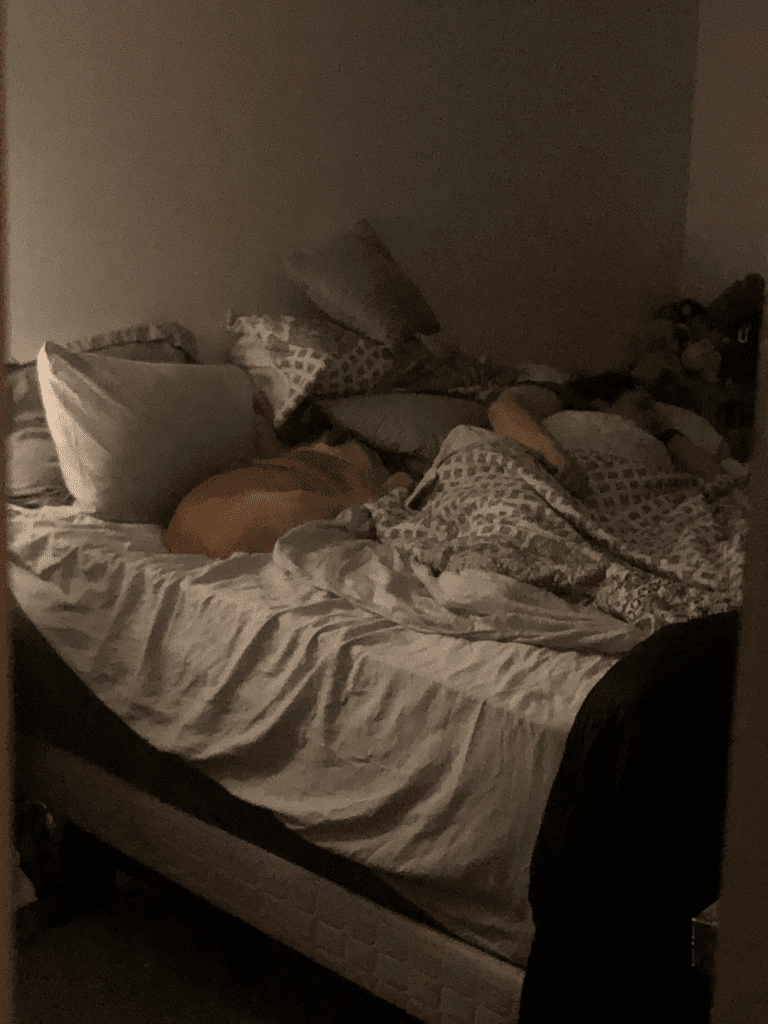 Milo, forever in our hearts