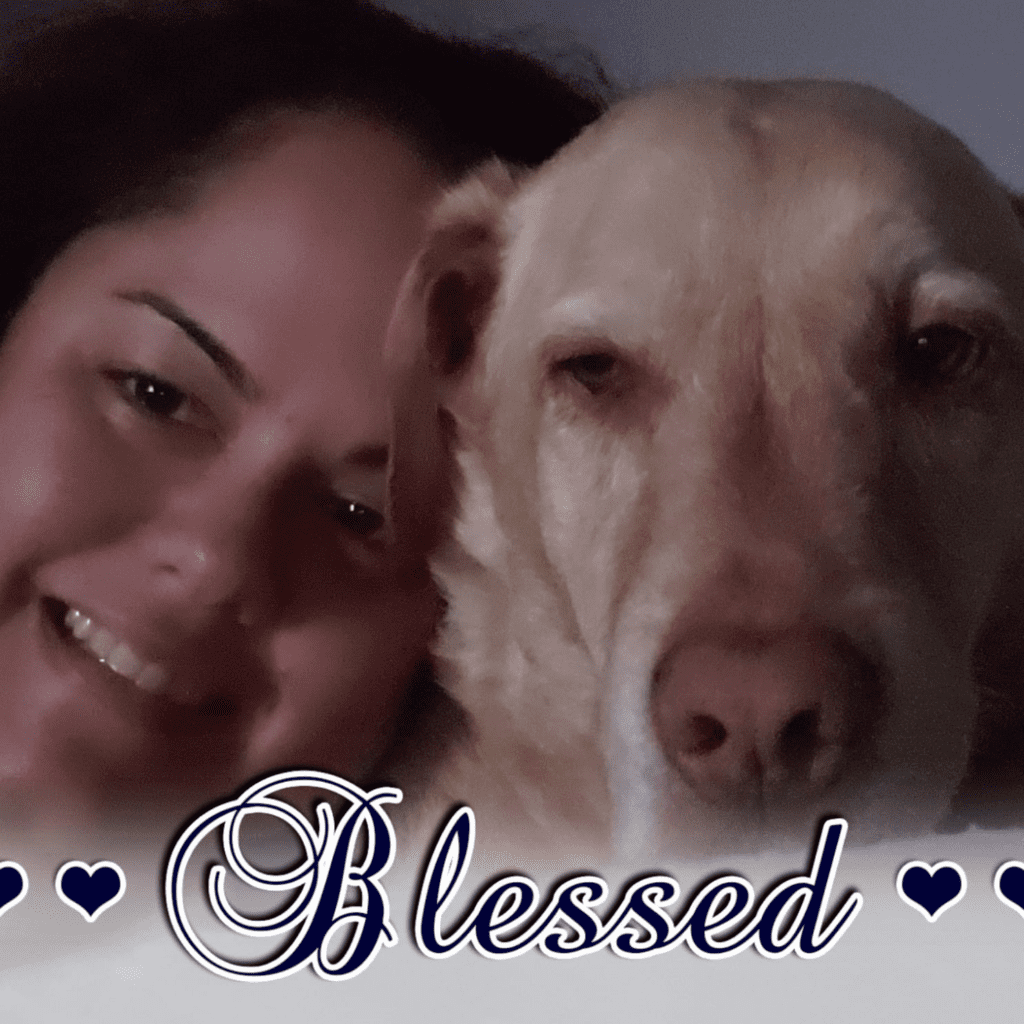 Milo, a beloved companion, captured in a cherished memory