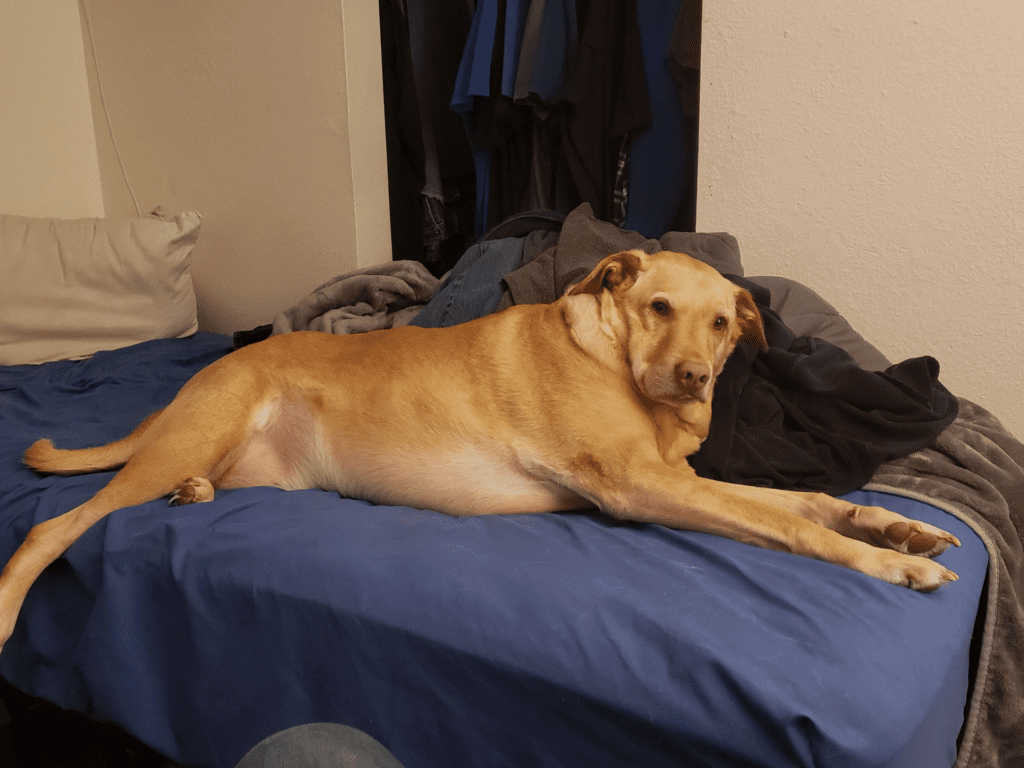 Milo full of life and joy