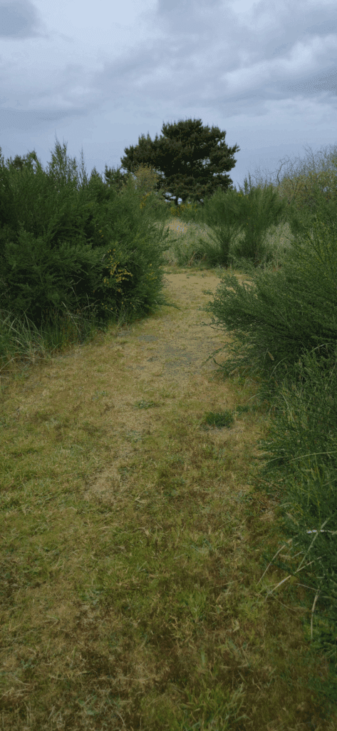 Scenic trail walk during cottage vacation