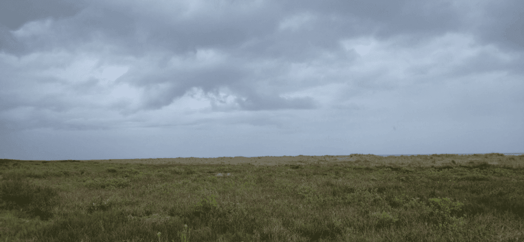 Lake view at the end of the trail with no beach access