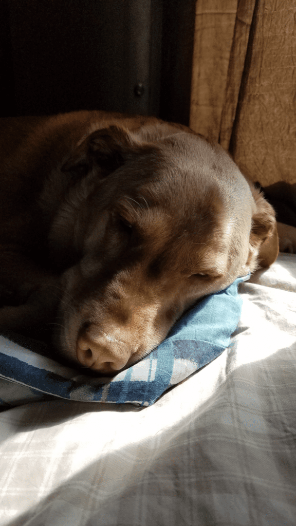 One last beautiful memory of Milo