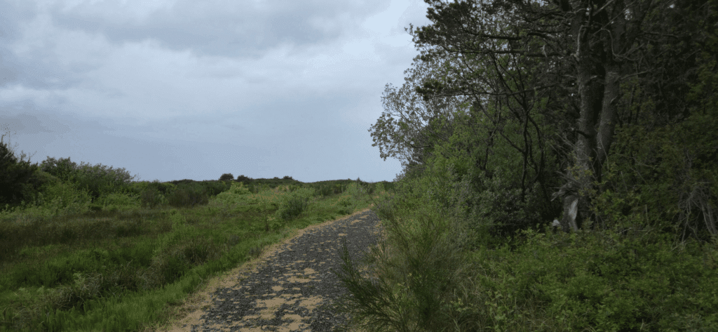 Cottage getaway landscape and nature views